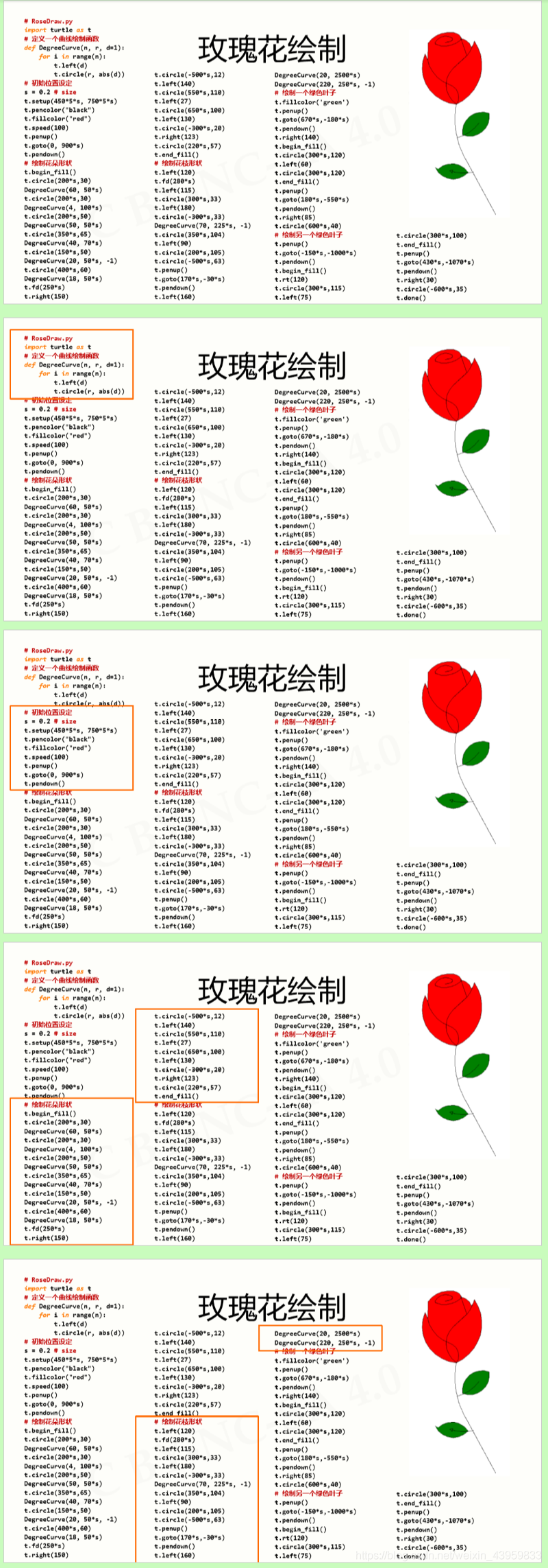 9.5 python 实例16-玫瑰花绘制