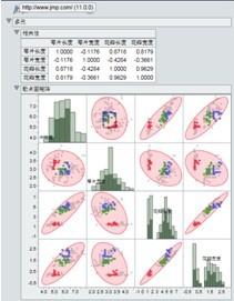 JMP11新功能速览