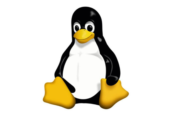 每位新人必须掌握的五大Linux终端命令