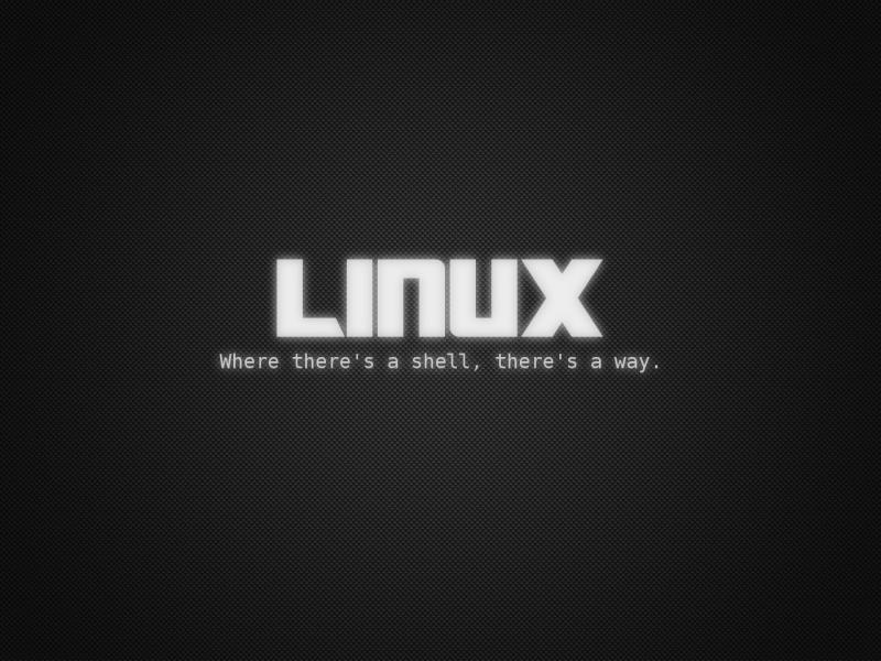 如何在 Linux 上运行命令前临时清空 Bash 环境变量