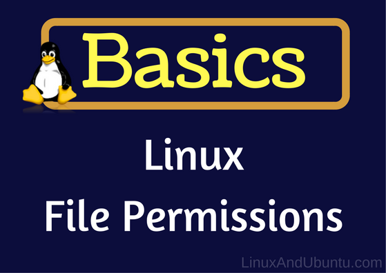 Linux文件权限的入门介绍