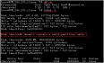 linux 磁盘挂载扩充格式化