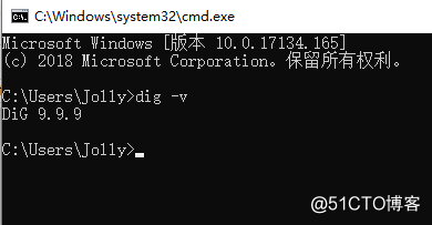 Windows 系统下安装dig命令_系统_05