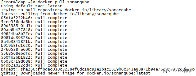 SonarQube部署和配置-Docker方式_软件研发_08