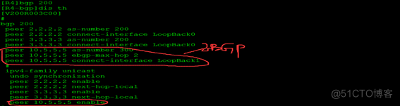 BGP 路由协议_路由黑洞_57