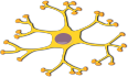 初学者想问：人工神经网络中要使用多少隐藏层、多少隐藏单元？