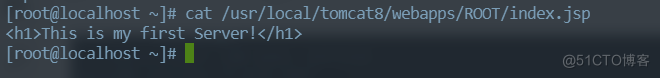 cat 
<h1>This is first 
[rmt@localhost 