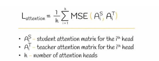 注意层蒸馏损失函数计算公式