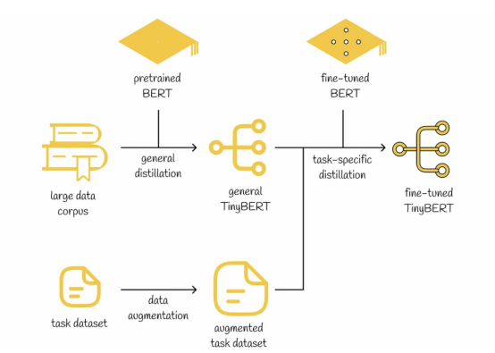 TinyBERT模型训练流程示意图