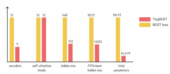 基础BERT模型与TinyBERT模型比较