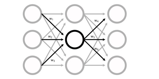 神经网络，其中突出显示了进入和离开特定感知器的权重