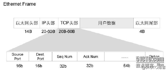 Segmento TCP