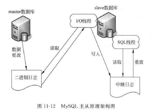 Mysql群集服务器之主从安装