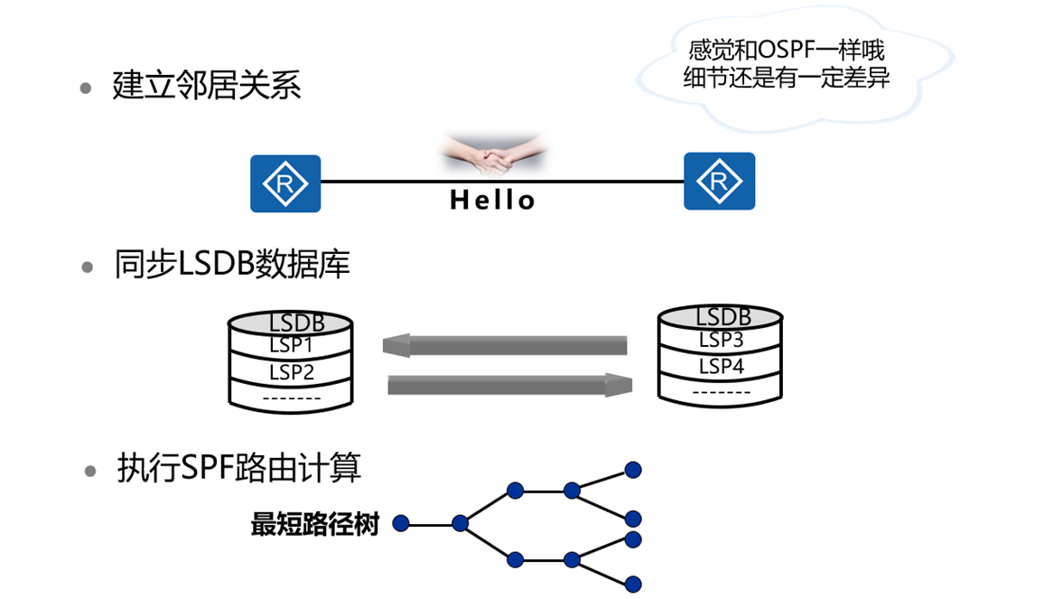 IS-IS协议的内容介绍