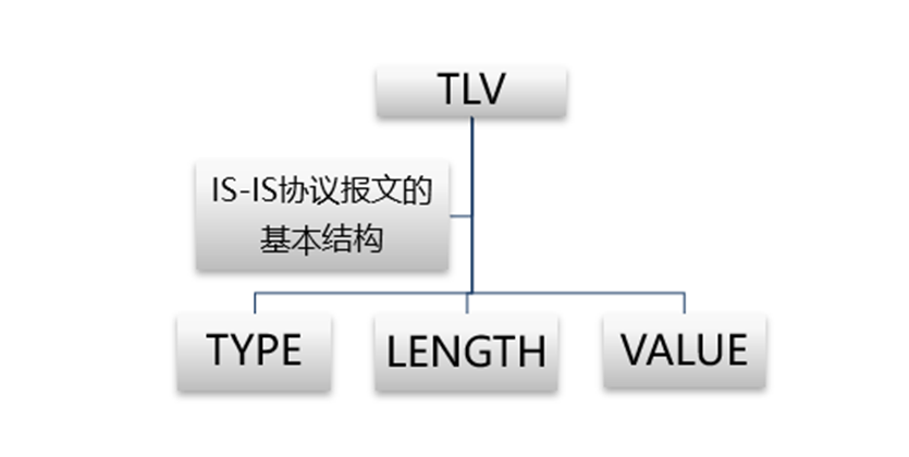 IS-IS协议的内容介绍