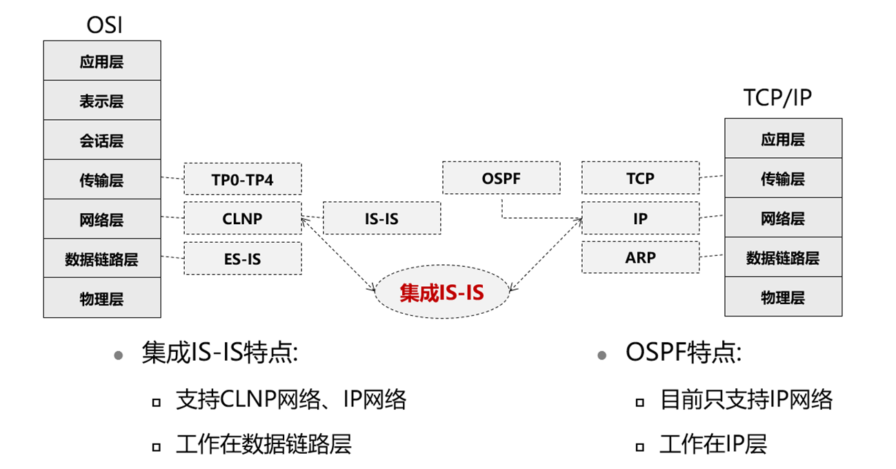 IS-IS协议的内容介绍