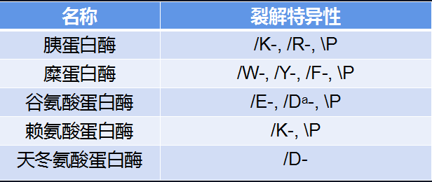 蛋白质降解技术中常用的蛋白酶（一）