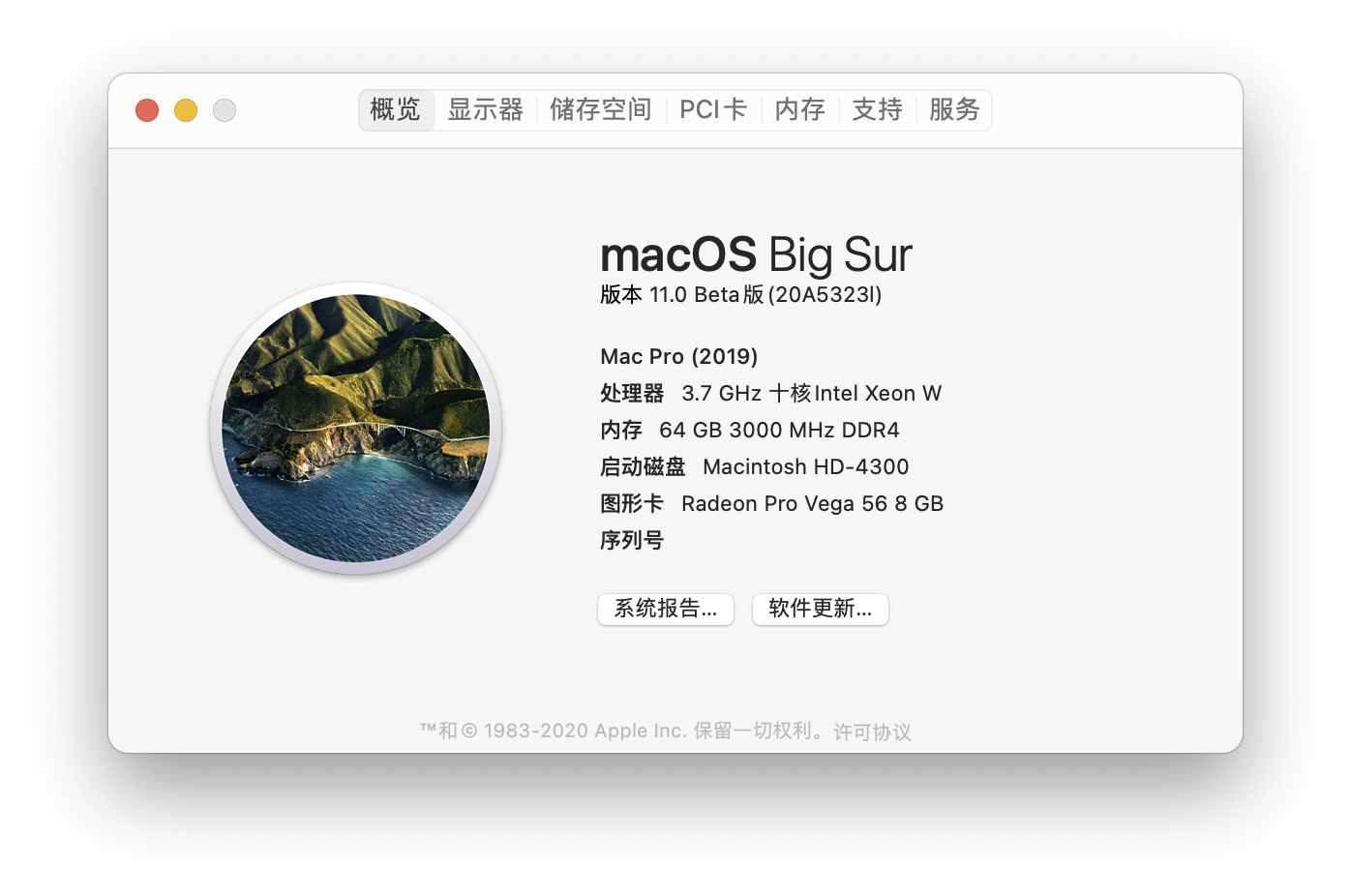 macOS Big Sur 11.0 B3(20A5323I)原版镜像