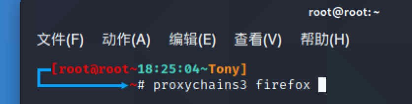 Kali之ProxyChains配置上Google和YouTube等网站 