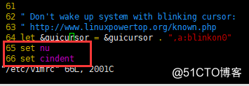 Linux vim设置缩进与行号
