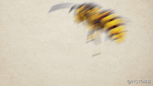 After the bees are extinct, humans can only live for four years?
