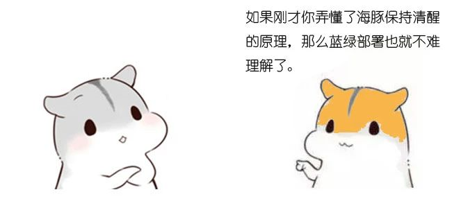 漫画：什么是蓝绿部署？