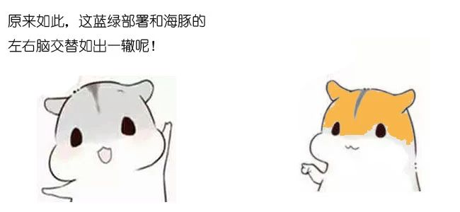 漫画：什么是蓝绿部署？