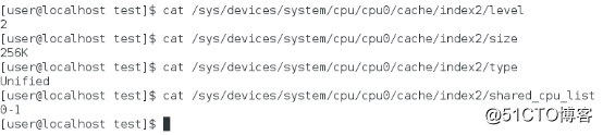 Linux性能优化（十四）——CPU Cache