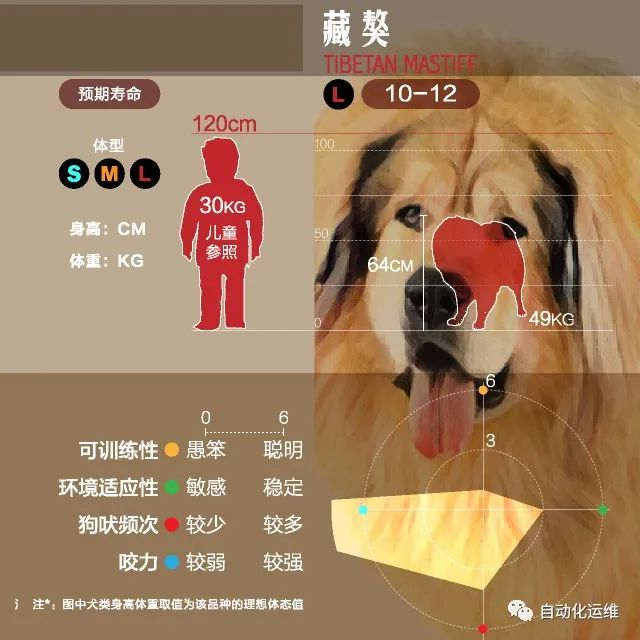 恶犬攻击预防与自救 真实全面 建议收藏 Mb5fdcad0be2e90的技术博客 51cto博客