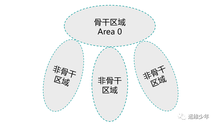 OSPF虚链路、DV算法和区域验证的应用