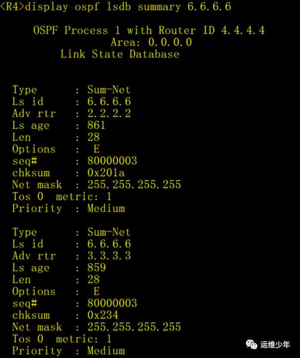 OSPF虚链路、DV算法和区域验证的应用