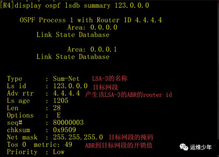 OSPF虚链路、DV算法和区域验证的应用