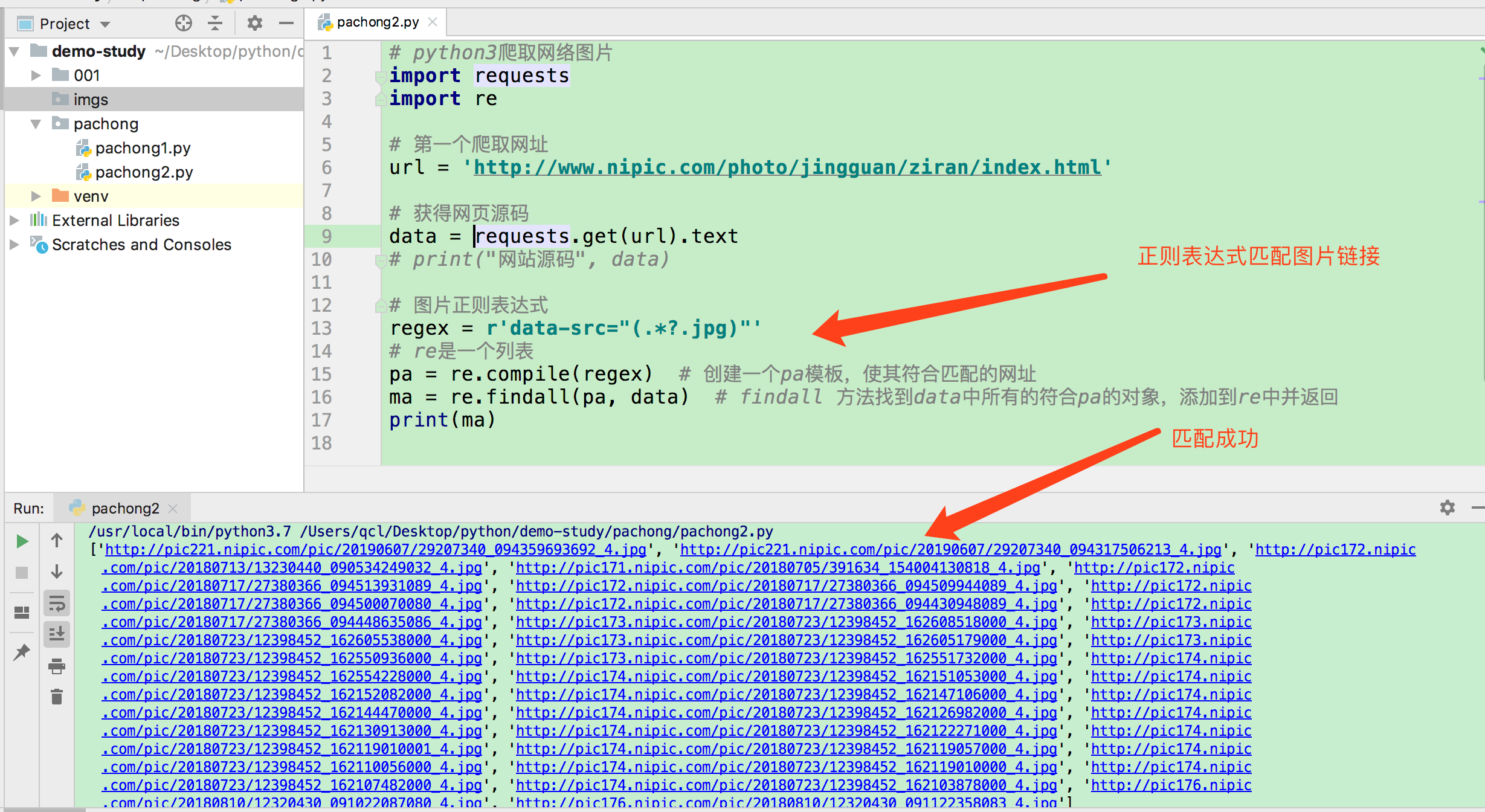 python入门012使用requests爬取网络图片并保存到本地