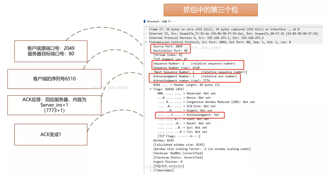 初识TCP，实验加抓包带你理解为什么需要三次握手、四次挥手_端口号_12