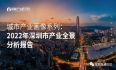 产业分析：2022深圳市产业全景