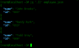 Linux 中的 JQ 命令使用实例