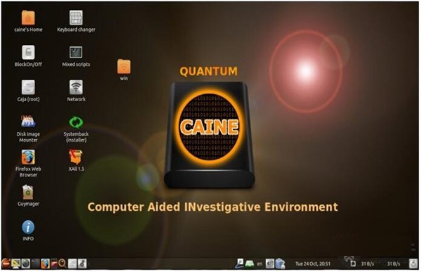 CAINE(计算机辅助调查环境)