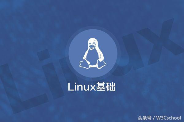 程序员必学！最受欢迎的Linux入门基础