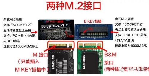 《艾尔登法环》全球销量突破2050万套 DLC正在路上 量突销量一直保持稳定增长