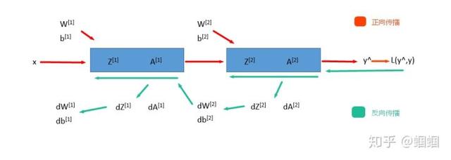 机器不学习：神经网络详解，正向传播和反向传播