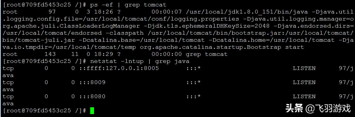 高级运维篇：Docker构建Tomcat WEB服务器与tomcat如何优化