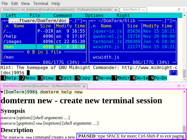 图 1: DomTerminal 终端模拟器。