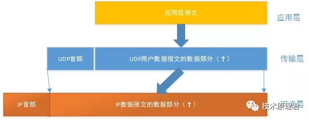 UDP和上下层的关系