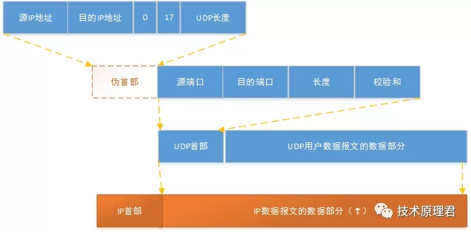 UDP的首部