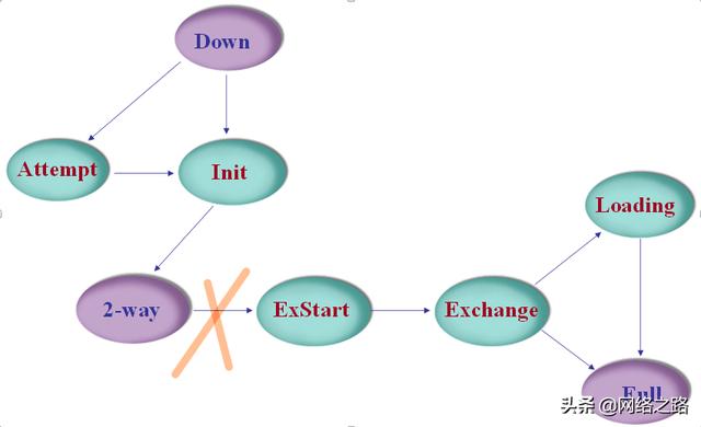 OSPF中的邻居与邻接：一字之差，谬之千里