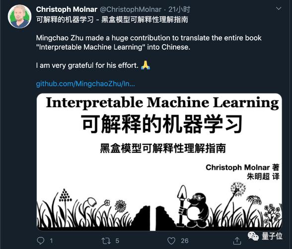 唯一《可解释机器学习》中文书来了：复旦研究生翻译，原作者点赞