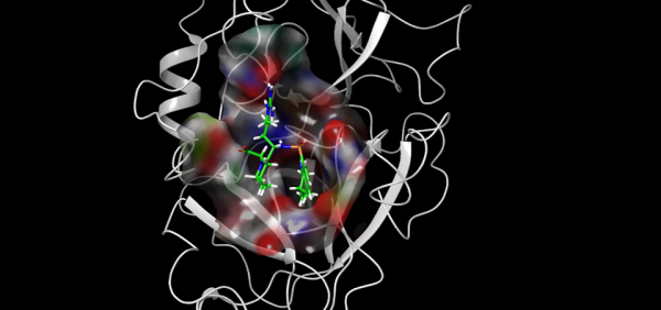 A drug that blocks a target is almost like a key, turning the protein off.