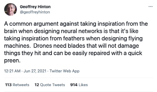 大脑飞行？Hinton推特引热议 神经网络是让小鸟飞起来的「羽毛」？