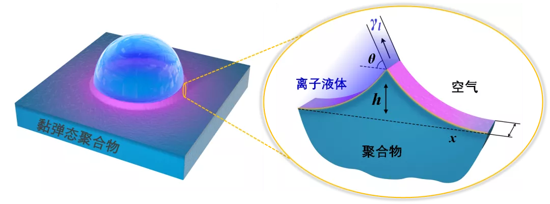 90后浙理工硕士论文登Nature，毕业却考取公务员！宇宙尽头是考公