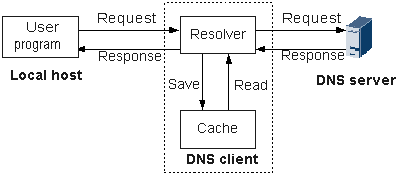 图1 动态DNS